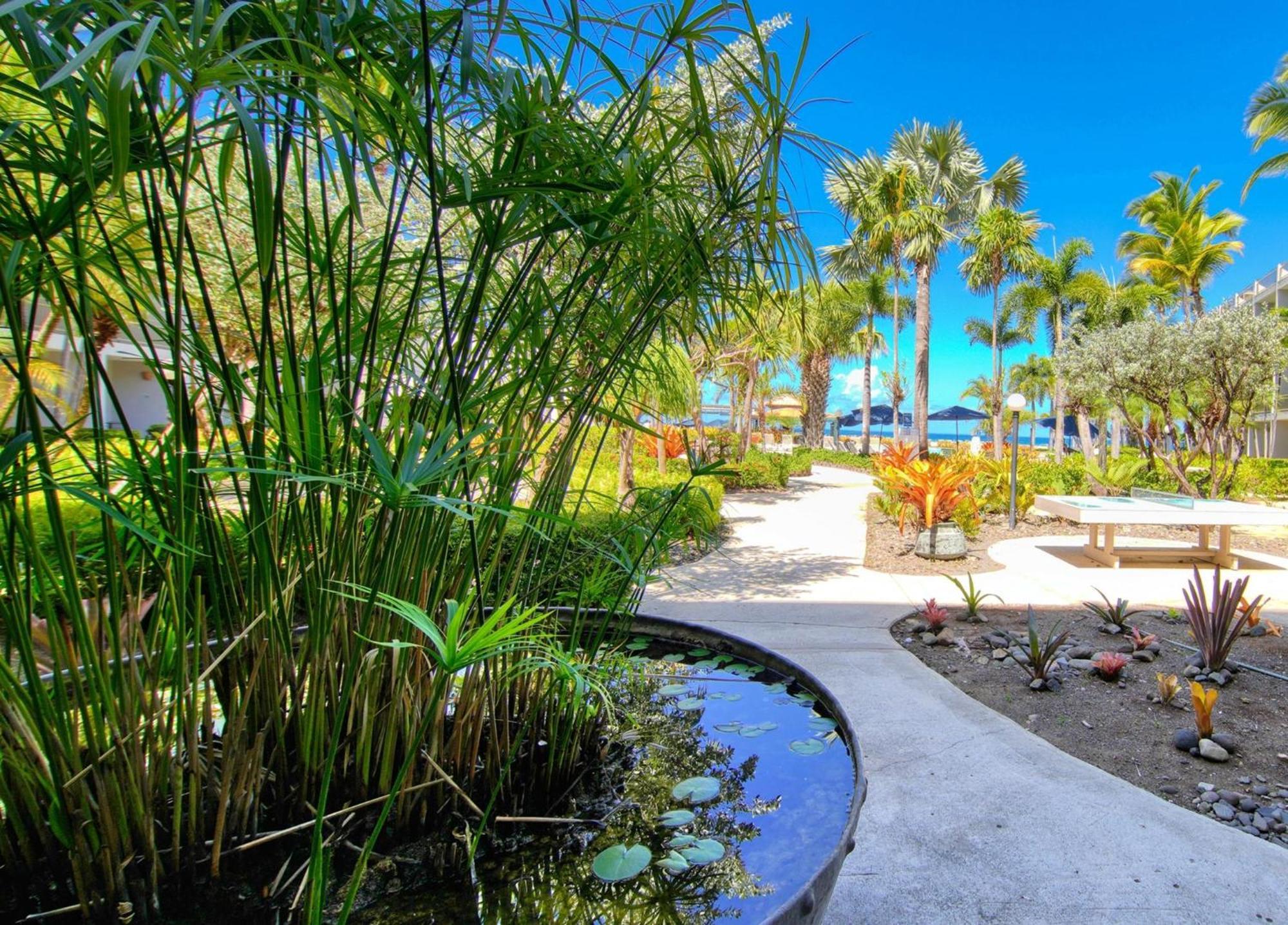 Rincon Of The Seas Grand Caribbean Hotel Eksteriør billede